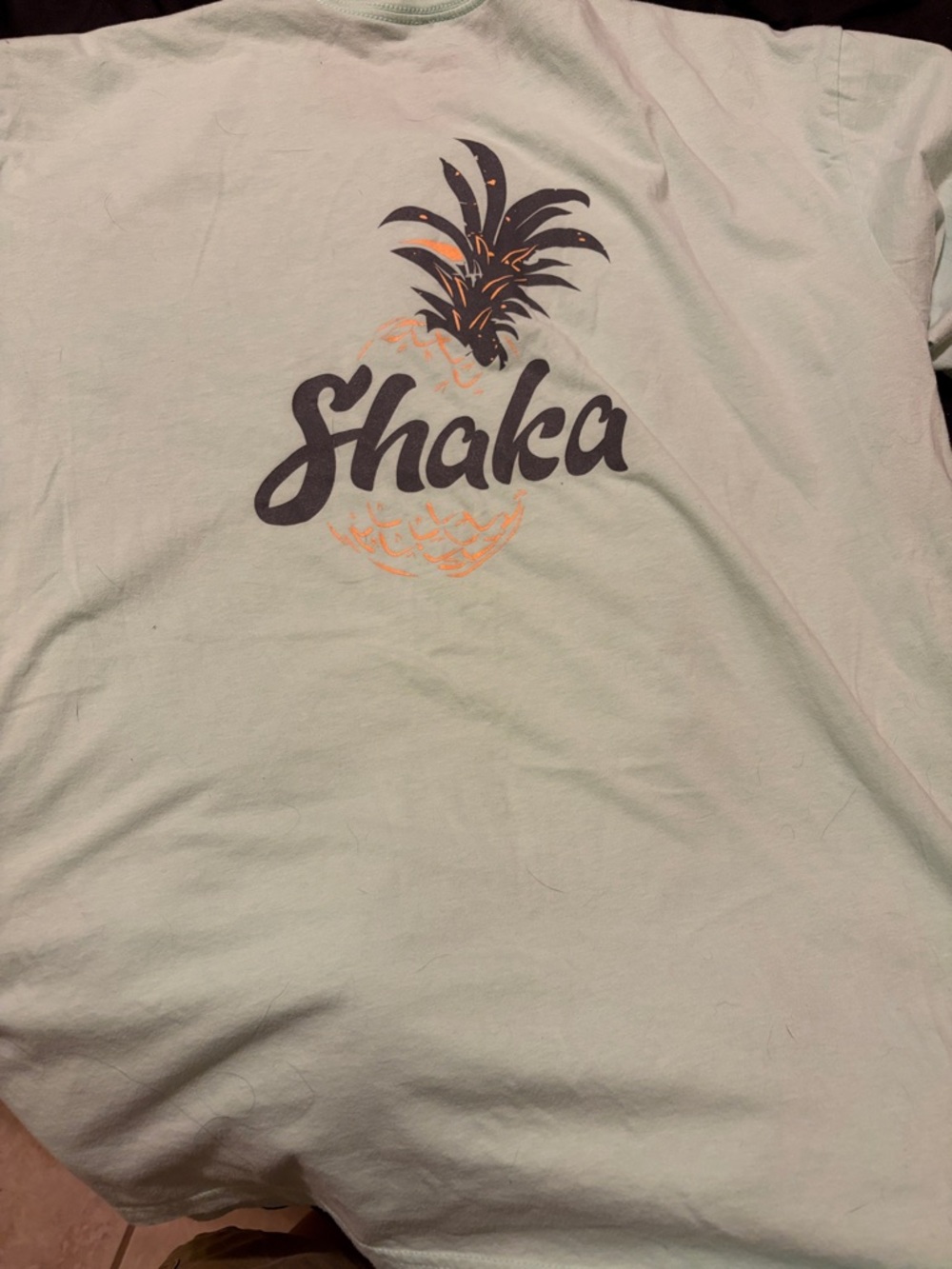 Shaka Short Sleeve Crewneck Tee in Light Mint - Picture 2 of 3